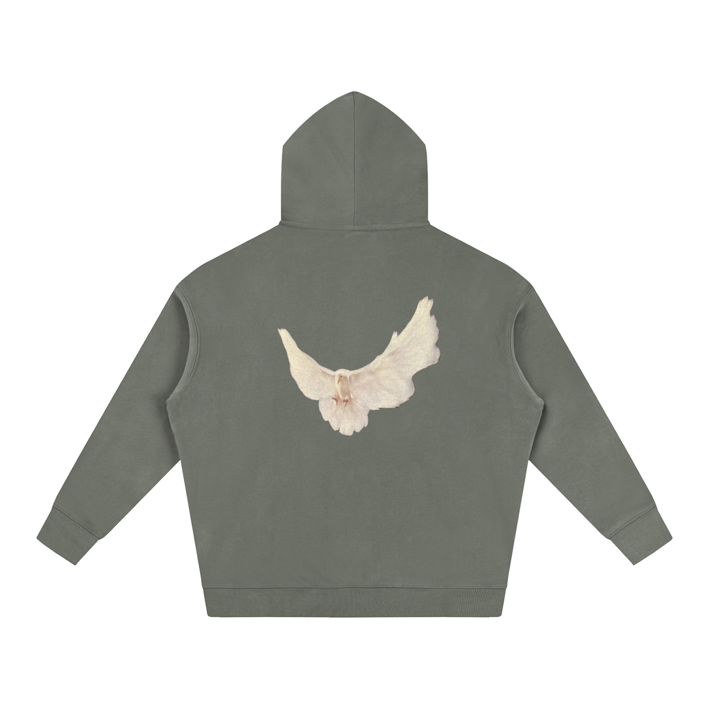 dove.26